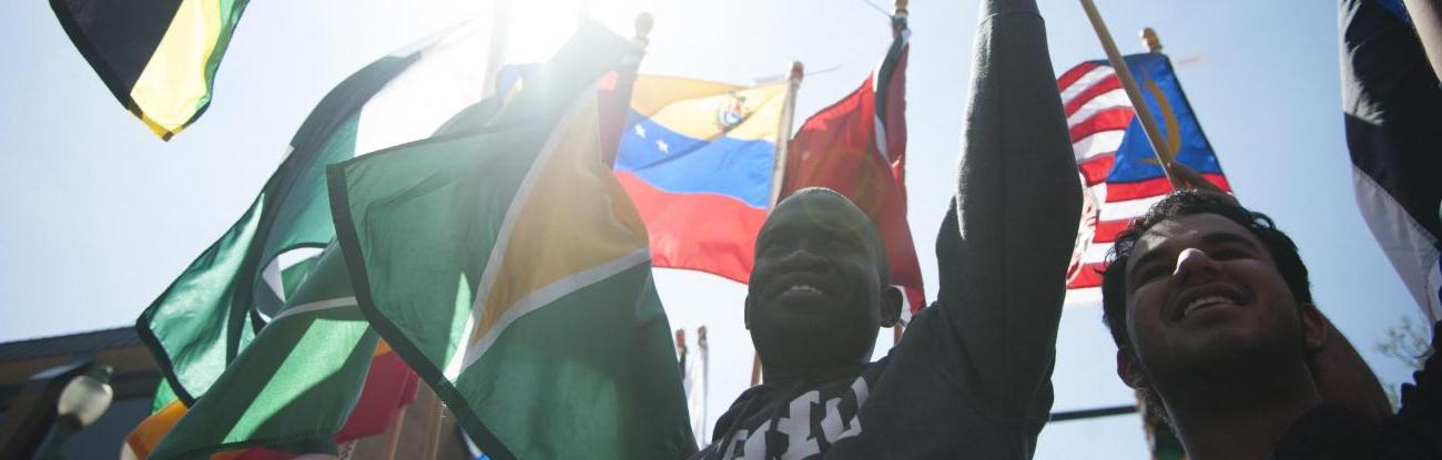 People holding international flags against the sunlight